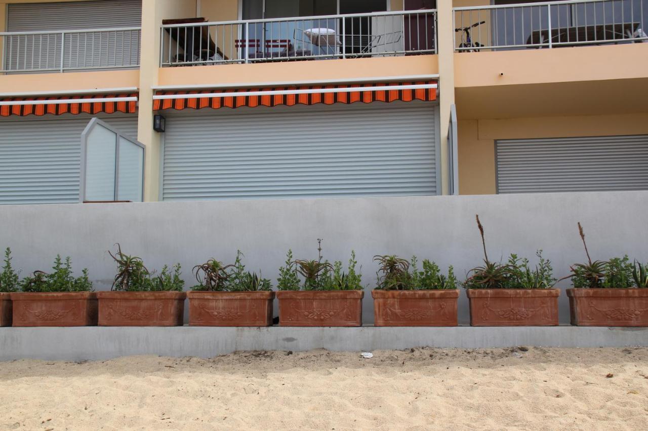 Studio Pieds Dans L'Eau Ajaccio  Eksteriør bilde