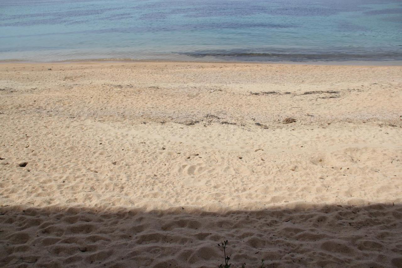 Studio Pieds Dans L'Eau Ajaccio  Eksteriør bilde